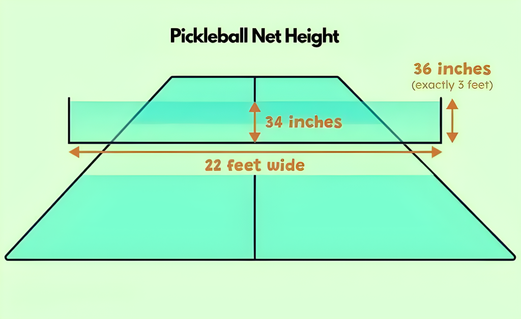Height of a Pickleball Net 